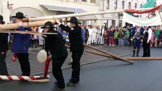 FZ der Narrenzunft Gole beim Narrenbaumstellen 2023 in Riedlingen [upl. by Kary]