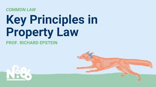 Key Principles in Property Law No 86 LECTURE [upl. by Anirbak894]