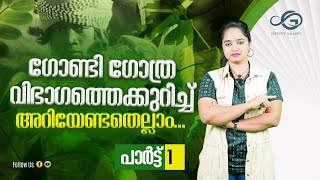 ഗോണ്ടി ഗോത്രവിഭാഗത്തെക്കുറിച്ചു കൂടുതൽ അറിയാം  History of Gonds in Malayalam [upl. by Seaman993]