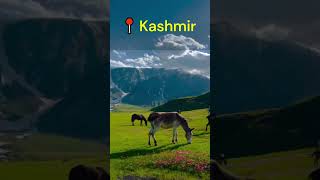 Travel Kashmir 😍  Beauty of Kashmir  Travel to Paradise on Earth  Stunning Views of Kashmir [upl. by Bellamy]