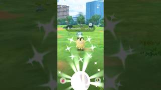 Shiny Galarian Meowth  pokemongo newshiny shinydex [upl. by Silra]