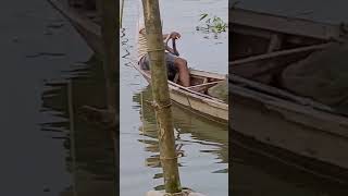 Boat floating on the river anyvideo [upl. by Gosney]