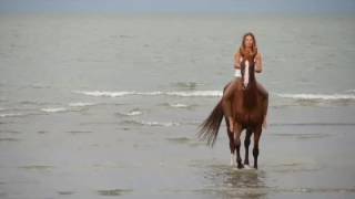 Chiara Angelini freeriding brideless  horsemanship [upl. by Munro]