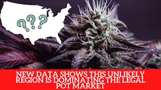 Unlikely Region Leads Legal Pot Market Industry Data [upl. by Sidoma]