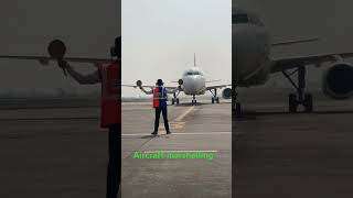 Aircraft Marshalling aircraft marshalling dhale navinsagarofficial aviation [upl. by Regdor]