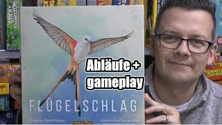 Flügelschlag Feuerland Teil 1 Abläufe  gameplay  Kennerspiel des Jahres 2019 [upl. by Alanson954]