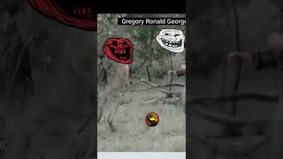 Kangaroo vs man💀💀edit montagemphonk Kangaroo vs man💀💀💀 [upl. by Tana]