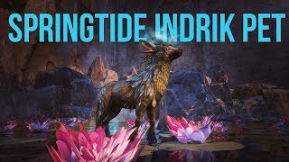 ESO Springtide Indrik Pet  Indrik Pet Showcase [upl. by Earised]