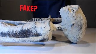 Nazca mummies  an update [upl. by Onitnas]