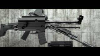 Bushmaster ACR  Caliber Change [upl. by Morell544]