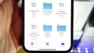 ANY iPhone How To Access File Manager [upl. by Aznola57]