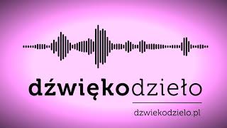 Kujawiaczek W deszczowych kropkach linia mel Dźwiękodzieło Instrumental Podkład [upl. by Fried]