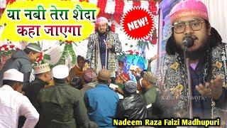 दीवाना मदीना पहुंच कर क्या कहता है  Ya Nabi Tera Shaida Kaha Jayega  Nadeem Raza Faizi Madhupuri [upl. by Alegnaoj]