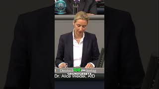 Alice Weidel Echte Rechte in Deutschland  Stolz und Verantwortung [upl. by Matilde]