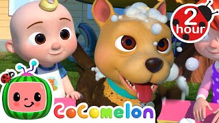 Splash and Fun Bath with Bingo  Animal Cartoons for Kids  Funny Cartoons  Learn about Animals [upl. by Ynnelg]