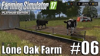 Farming Simulator 17  Lone Oak farm  Timelapse  6  The Cows Have Arrieved [upl. by Inttirb514]