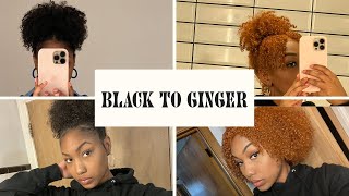 How I dyed my natural hair from Black to Ginger  NO DAMAGE Adore Cinnamon amp Cajun Spice [upl. by Cristobal]