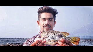 मराठी Fishing vlog part 2 [upl. by Aminta]