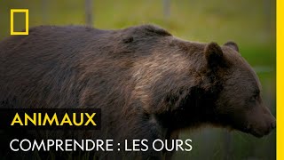 COMPRENDRE  Les ours [upl. by Kobe]