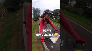 Day 11 Midge attack😝 shortsvideo midgets cycletour [upl. by Keverne413]