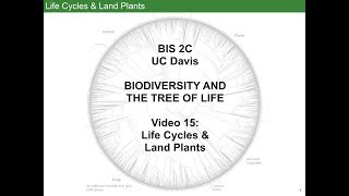 Haplodiplontic Life Cycle  Plant Kingdom  NEET Biology  NCERT 11th [upl. by Raknahs]