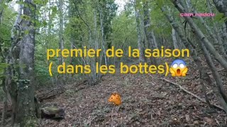 sanglier dans les bottes 😱  chasse sanglier et chevreuil 20242025 [upl. by Lettig]