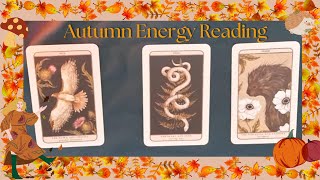 Autumn Energy PickaCard Reading [upl. by Aufa]