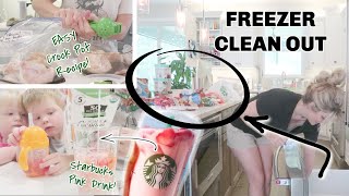 Massive Freezer Cleanout  2 EASY Delicious Recipes  Rachel Engelbarts [upl. by Asiak]