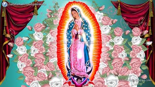 ALABANZAS EN DESAGRAVIO A LA VIRGEN MARIA SANTISIMA HD [upl. by Normy]