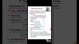 ULTRASTRUCTURE OF PROTOZOA  BABY INTRODUCTIONshorts MSC ZOOLOGY BSC ZOOLOGY NEP [upl. by Aicilas]