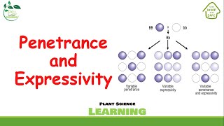 Penetrance and Expressivity [upl. by Dimond]