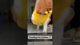 Winter Is Arrived amp Winter Clothes For Pet 🐕🐕 viral trending dog pets shorts [upl. by Nie835]