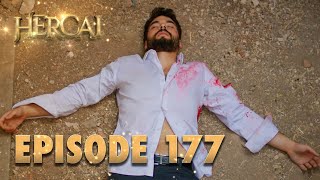 Hercai  Herjai Urdu  Episode 177 [upl. by Dlanger]