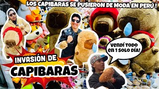 LOS CAPIBARAS DE TIK TOK INVADEN LIMA totalmenteaficionados3163 curiosidades 2024 parati [upl. by Jaymie]