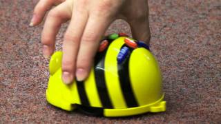 BeeBot® Programmable Floor Robot from TTS Group [upl. by Naraj]