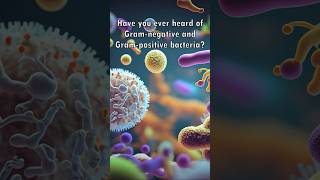 Gram Positive and Gram Negative Bacteria Explained 🧫😮 [upl. by Elram]