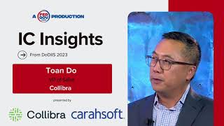 IC Insights with Toan Do VP of Sales at Collibra [upl. by Doralynne]