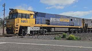 4PM6 PN Linfox Express Perth to Melbourne 1325 24624 Murtoa VIC [upl. by Fachini]