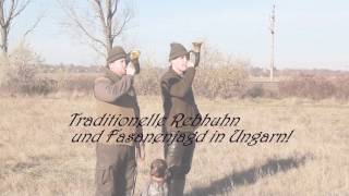 Traditionelle Rebhuhn und Fasanenjagd in Ungarn [upl. by Reham146]