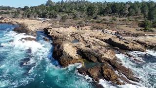 Point Lobos State Natural Reserve [upl. by Anoek446]