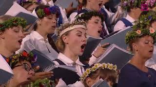 Ukrainian national anthem  2023 Latvian Song and Dance Festival [upl. by Gothard899]