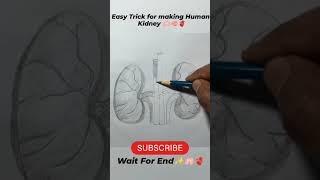 class 10th Kidney trick [upl. by Meela]