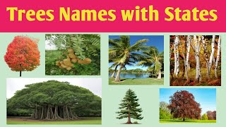 Trees Names with most common grow states names in English  Trees Names with pictures [upl. by Buseck]