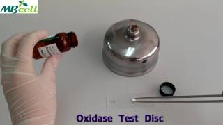 Oxidase Test Disc [upl. by Prochoras]