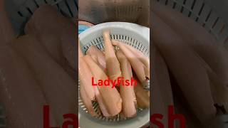 Crispy fried ladyfishfish ladyfish shortvideo crispyfriedfish [upl. by Geneva457]