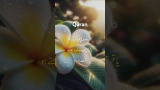 Surah Al Younis verses 61 with Urdu translation quranrecitation subscribemychannel [upl. by Eggleston981]