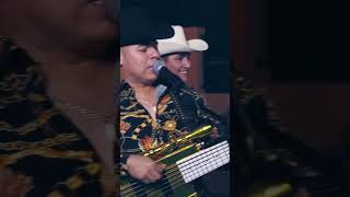 CHIVO TATEMADO 🔥🎶 Disponible en mi CUENTA 🤠 elchiloysuplebadaoficial corridos shorts [upl. by Enimassej]