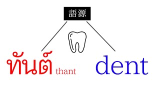 密かにつながる英語とタイ語【語源】 [upl. by Scales971]