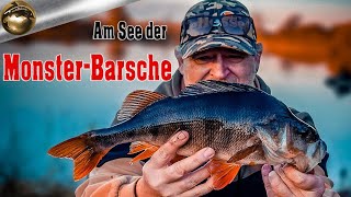 Am See der MonsterBarsche mit Lennart Barsch Hecht PB [upl. by Welsh381]