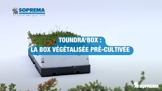 TOUNDRABOX  la box végétalisée précultivée  SOPREMA Particuliers [upl. by Stephannie]